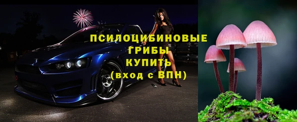 гашик Володарск