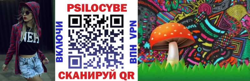 Купить где  Монино  Псилоцибиновые грибы мицелий 